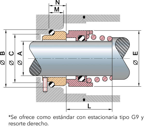 https://gammaseal.com.mx/